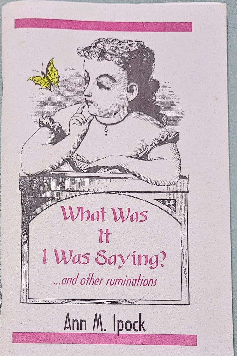 Cover of What Was It I Was Saying? by Ann Ipock